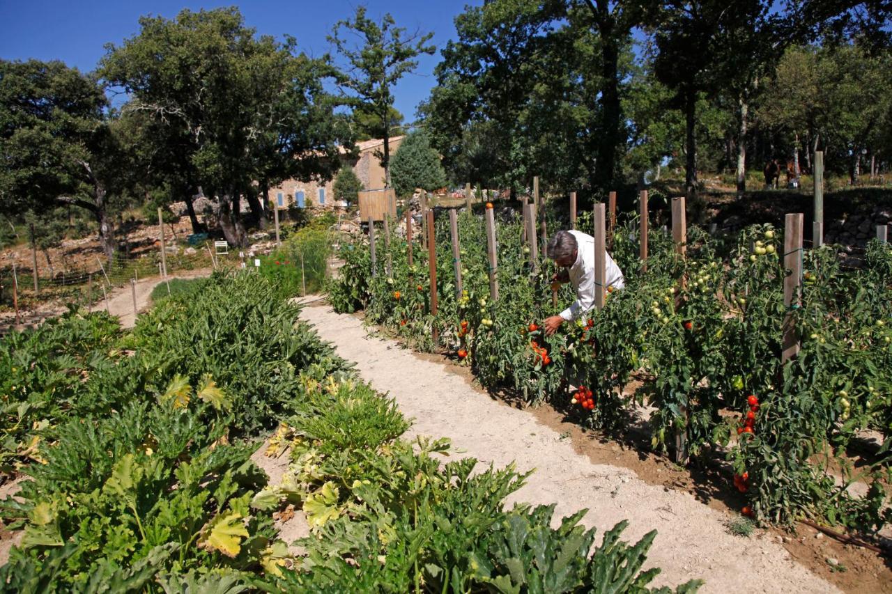 Bellone En Provence Bed & Breakfast Brue-Auriac Exterior foto